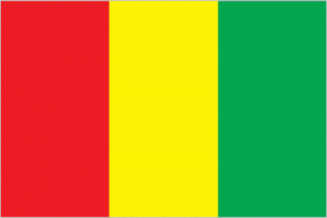 Legalization-Guinea